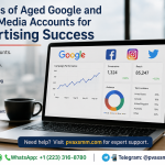 Benefits of aged Google and social media accounts for advertising success